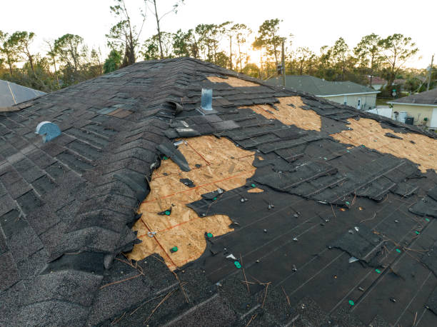 Best Roof Insulation Installation  in Stockdale, TX